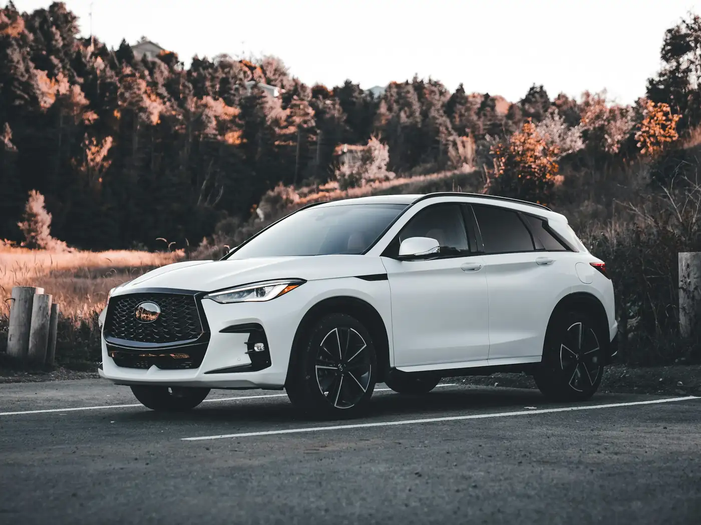 Una camioneta SUV blanca estacionada al costado de un camino, frente a un bosque con tonos otoñales.